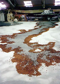 Gallery: Oper/Schauspiel - opera/drama